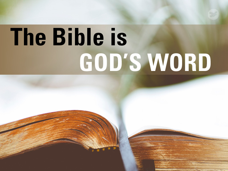 Làm thế nào chúng ta có thể tin vào Kinh Thánh và những lời giáo huấn trong đó? Kinh Thánh có phải chỉ là điều viễn tưởng hay huyền thoại hay chỉ là cách nhìn của những người tôn giáo?