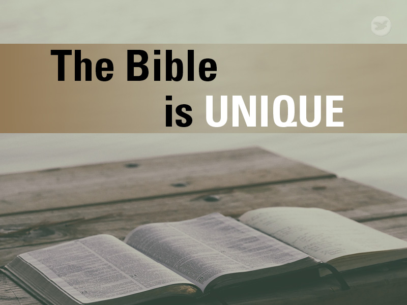Một bộ sưu tập của những bài viết cổ nói về cái gì mà chúng ta gọi là Kinh Thánh đã mang đến một tác động sâu sắc đến với thế giới?