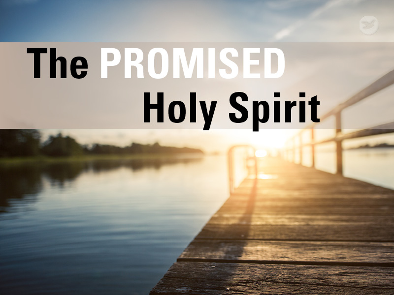 In this video series, we will learn about the Holy Spirit which we have been promised to receive, a precious gift that has much to offer alongside our journey to heaven.