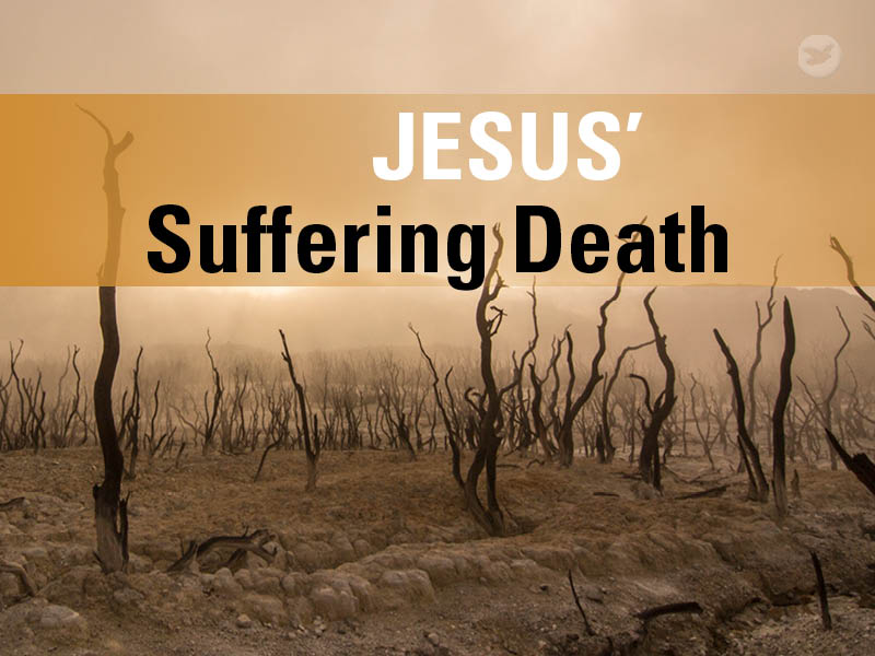 Jesus suffered many trials and died a very painful death on the cross, but He did so willingly and according to His higher purpose. What plan exactly did He have in mind, and what does this plan have to do with us?