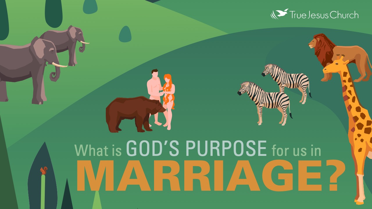 What are the keys to a successful marriage? It all begins with understanding what God's purpose is for marriage as laid out in the Bible. By living according to His purpose, we will discover how fulfilling and blessed marriage truly can be.