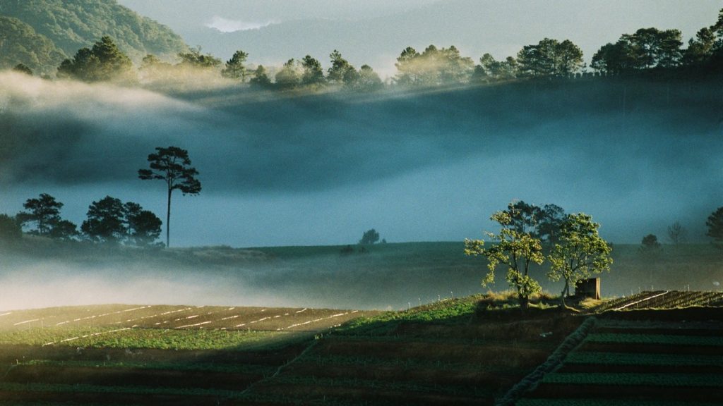 stockvault-early-sunrays102413-1024x576