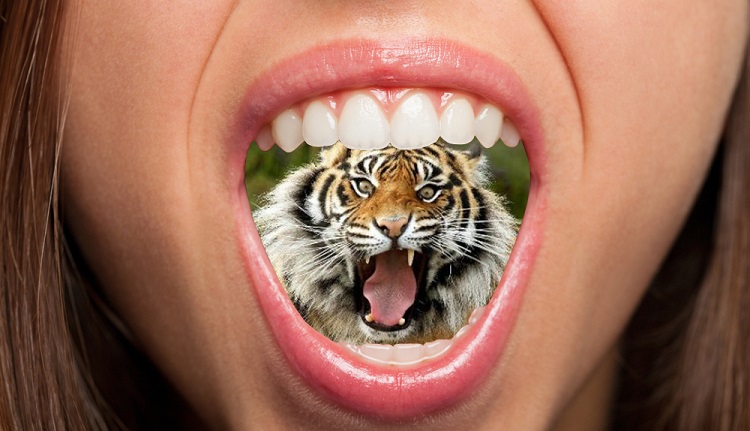 Mulutmu-harimaumu