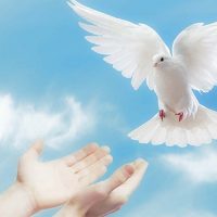 MENERIMA BAGIAN YANG DIJANJIKAN