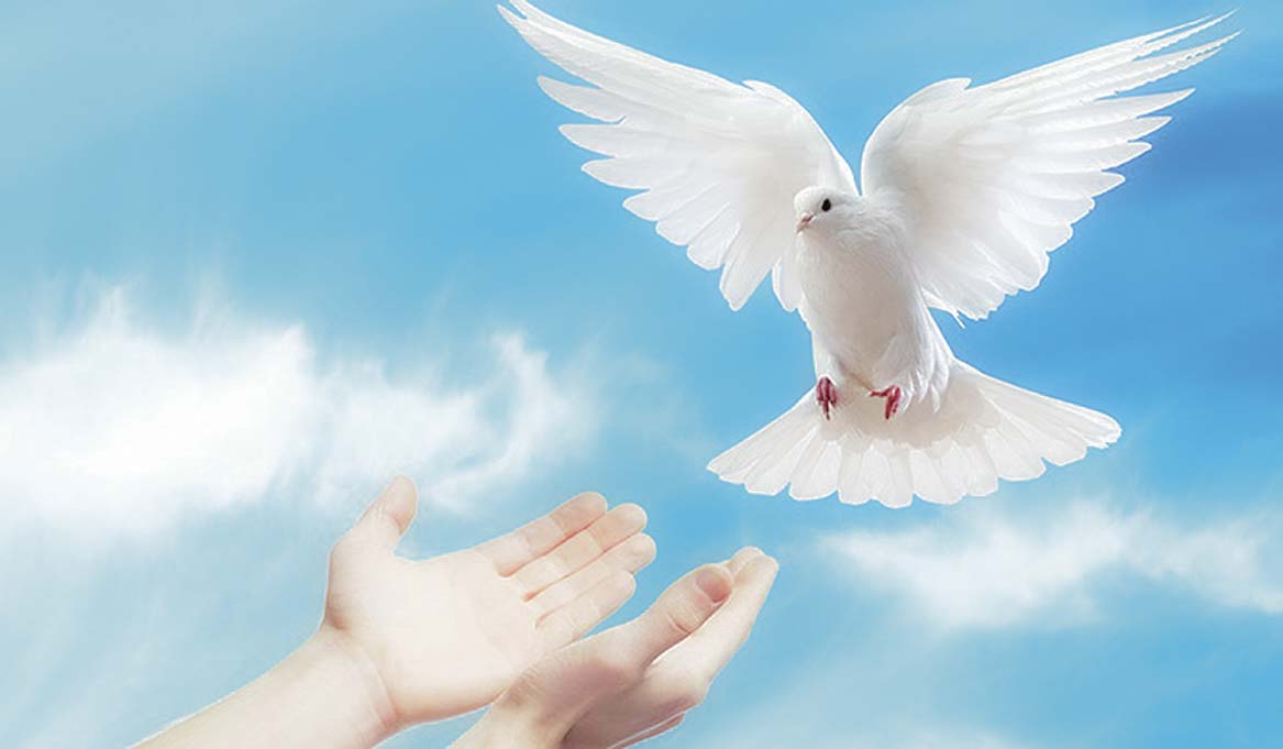 MENERIMA BAGIAN YANG DIJANJIKAN