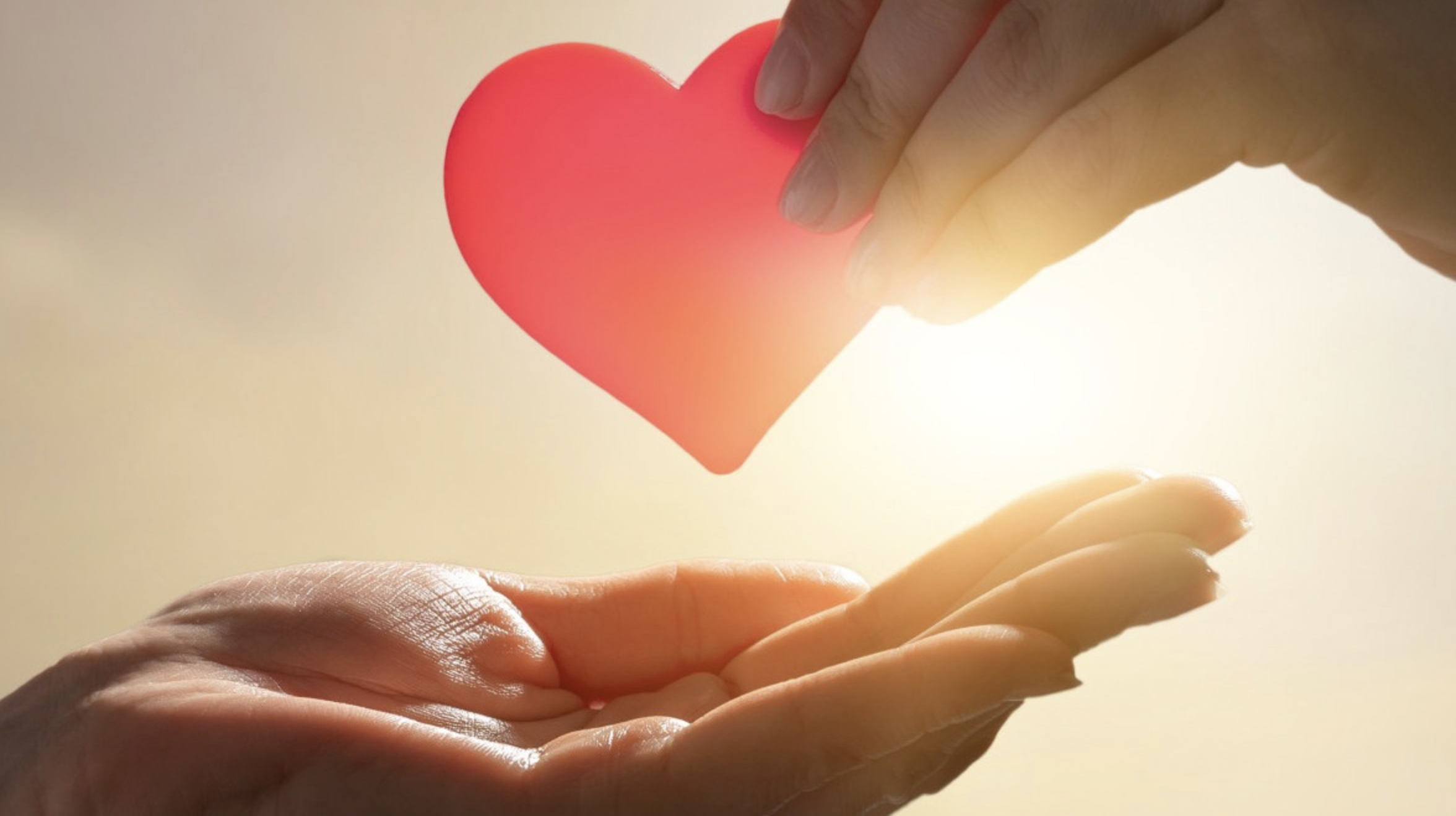 MENGHASILKAN BUAH ROH