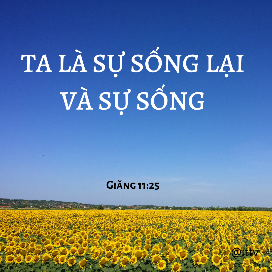 Giang 11_25