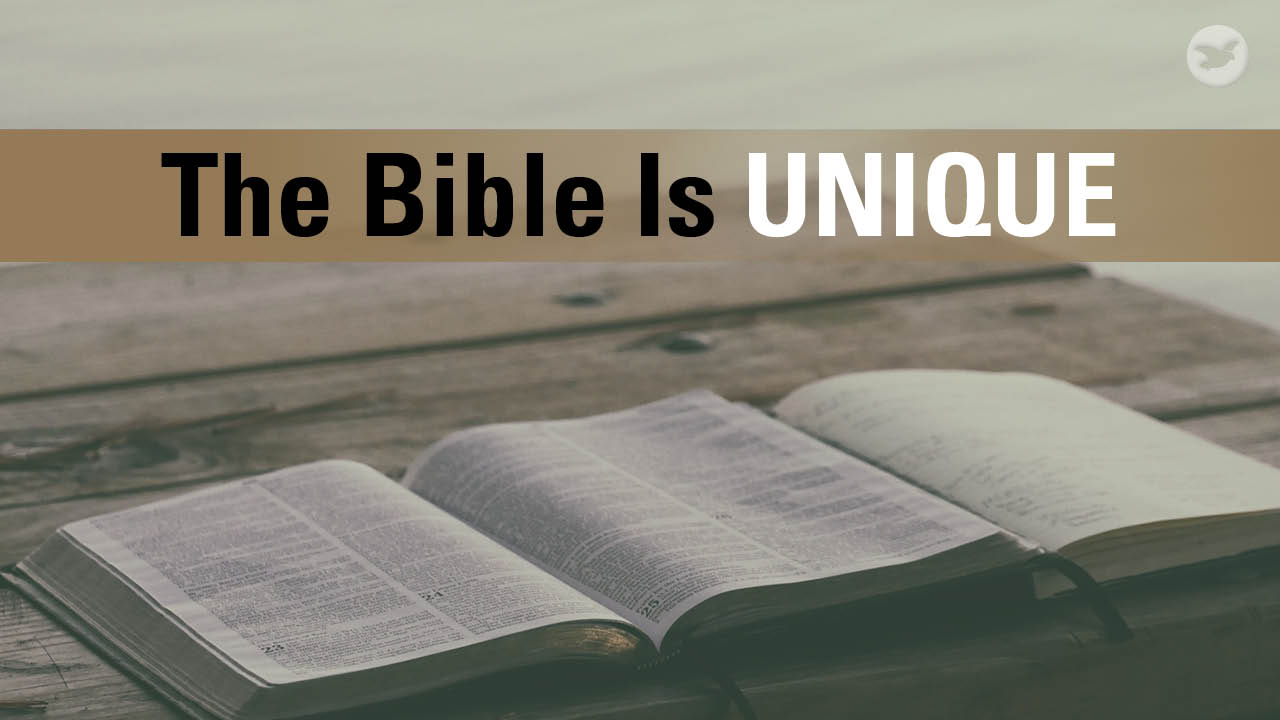 The Bible is the most widely circulated and translated book of all time. What is it about this collection of ancient writings which we call the Bible that brings such profound impact on the world?
