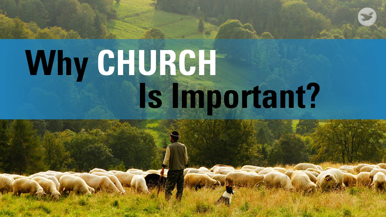 Why do I need to join a church? Can’t I simply accept Jesus as my Savior and not be part of any church? Learn what the Bible teaches about why the church is of crucial importance to our relationship with Christ and to our salvation.